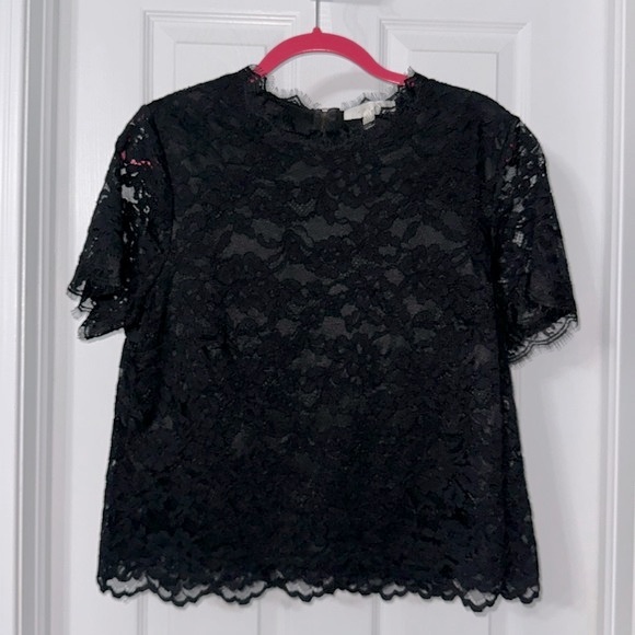 Cropped Lace Short Sleeve Top - Picture 1 of 5